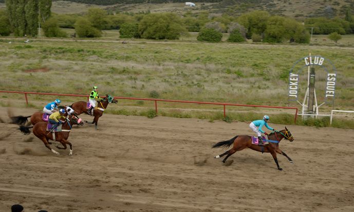 Polla tres Haras Esquel