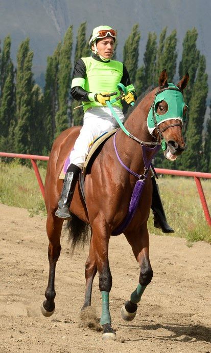 Polla tres Haras Esquel