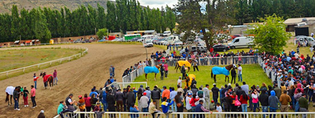 Polla tres Haras Esquel