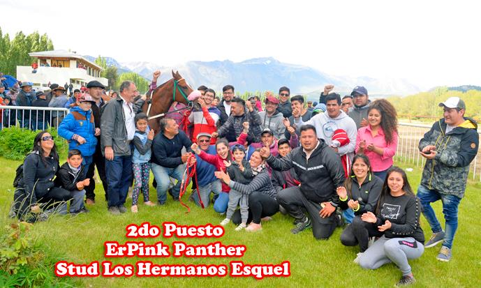 Polla tres Haras Esquel