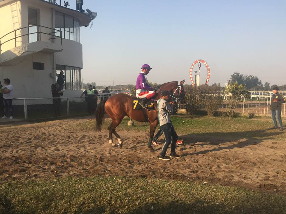 ER Defolteado, Polla Tres Haras Tucuman 18