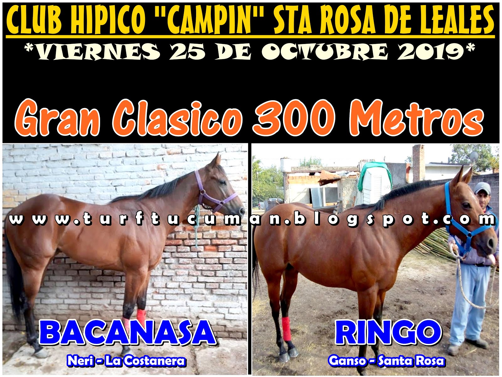 ER Bacanaza