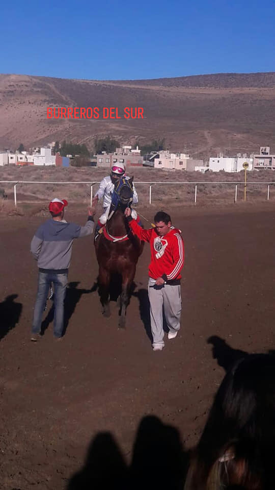 ER Catedratico