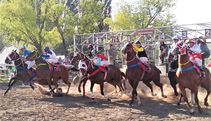 Polla Tres Haras