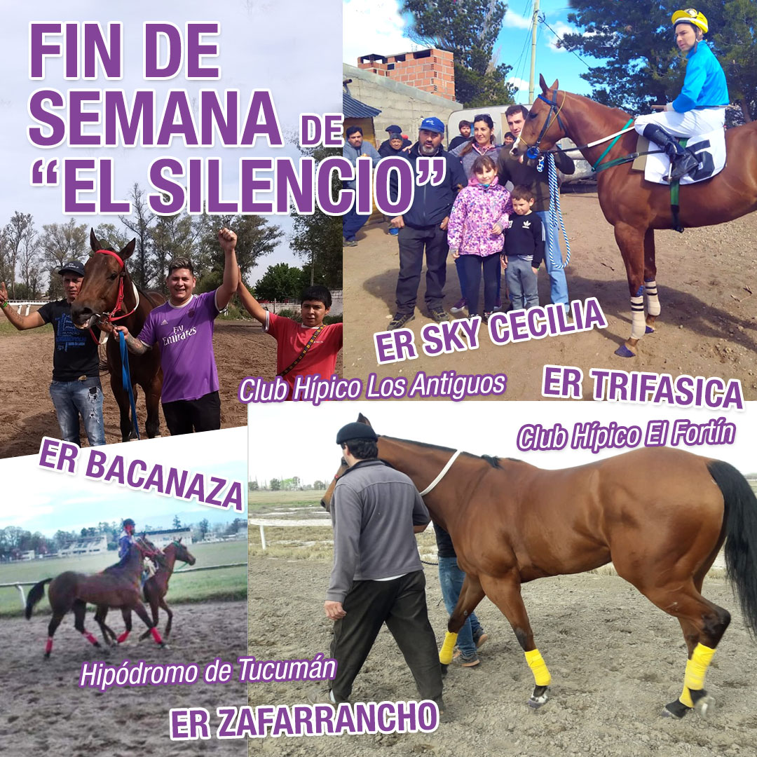 Ganadores de El Silencio