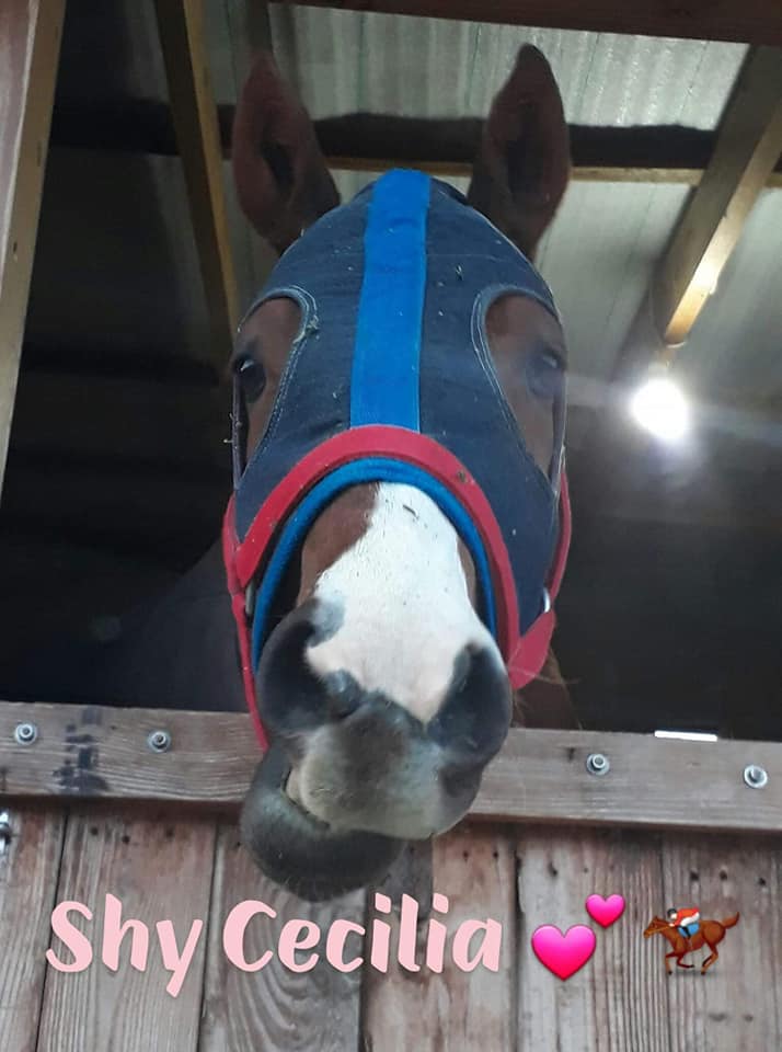 ER Shy Cecilia