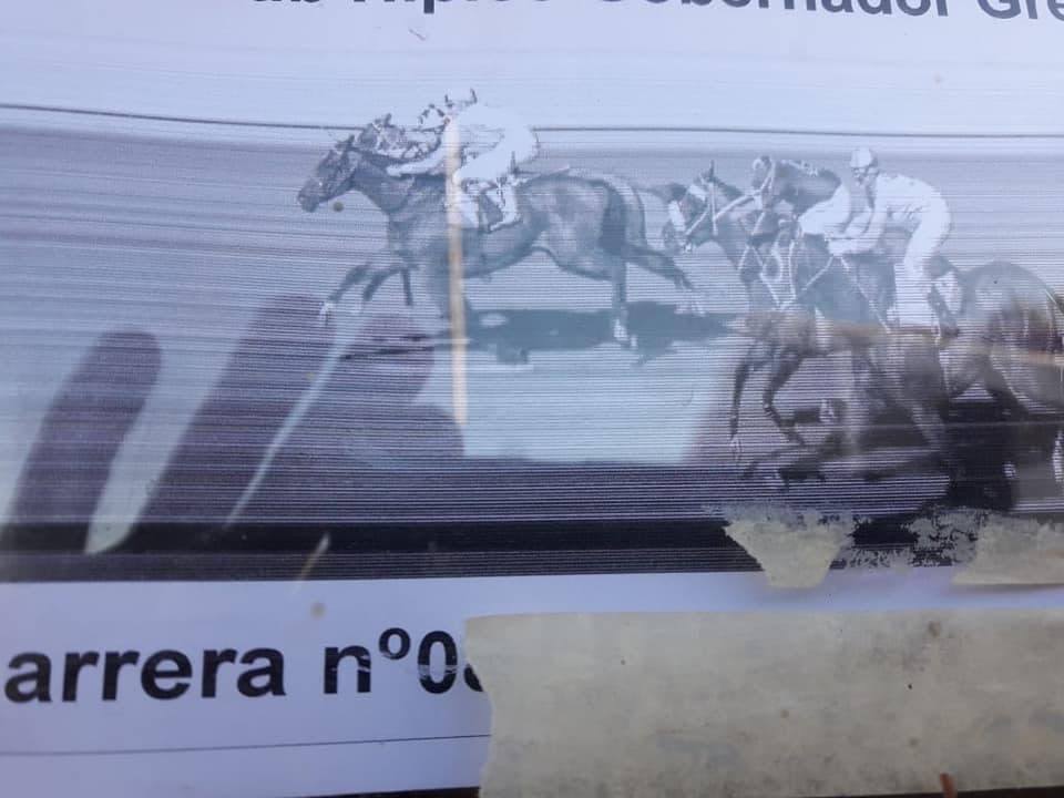 ER Tinta china