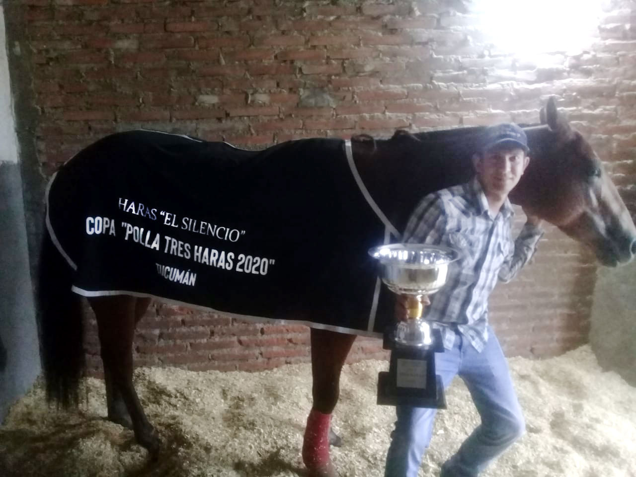 Polla Tres Haras Tucuman 2020
