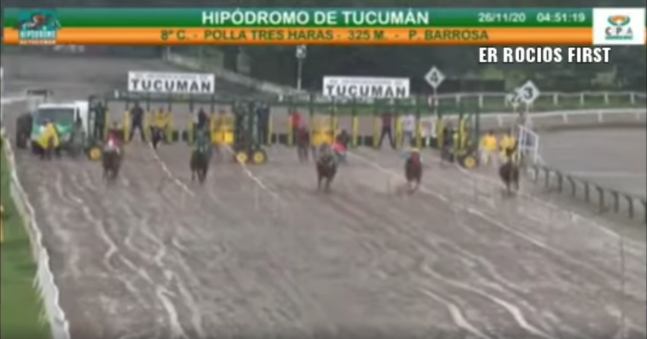 Polla Tres Haras Tucuman 2020