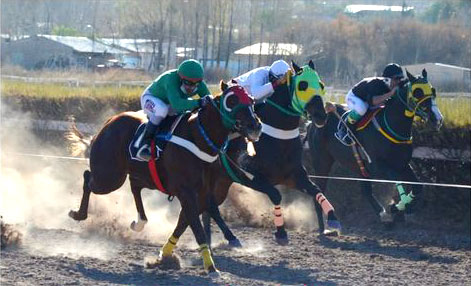 Premio Haras Don Jose