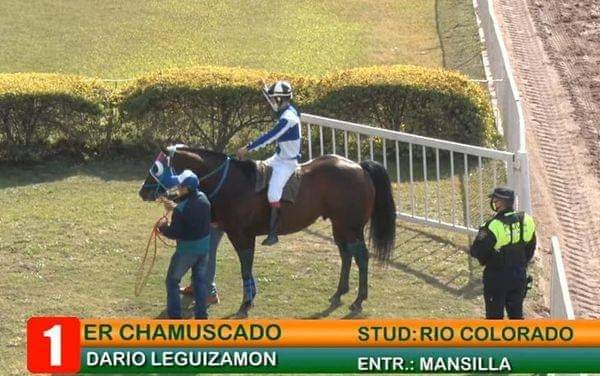 ER Chamuscado