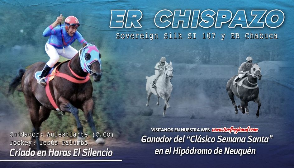 ER Chispazo