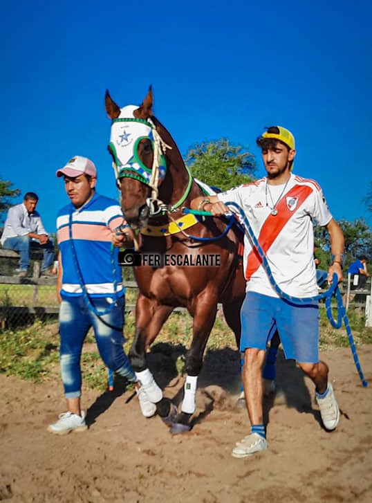 ER Defolteado (Gaucho)