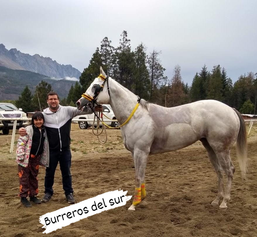 ER Chicholina