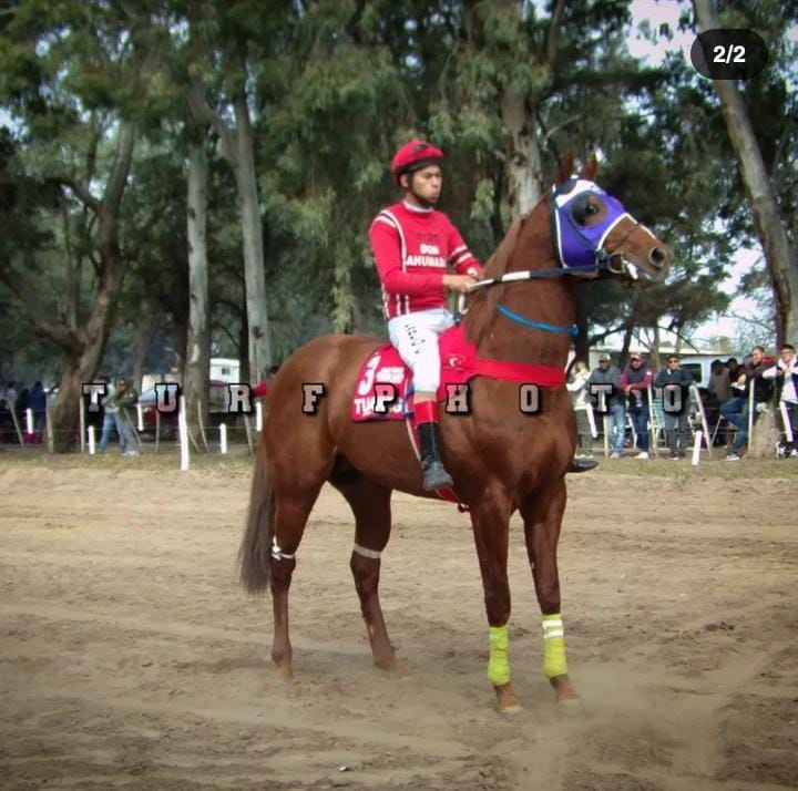 ER Shy Rumbero